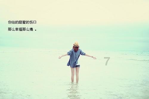 花与剑